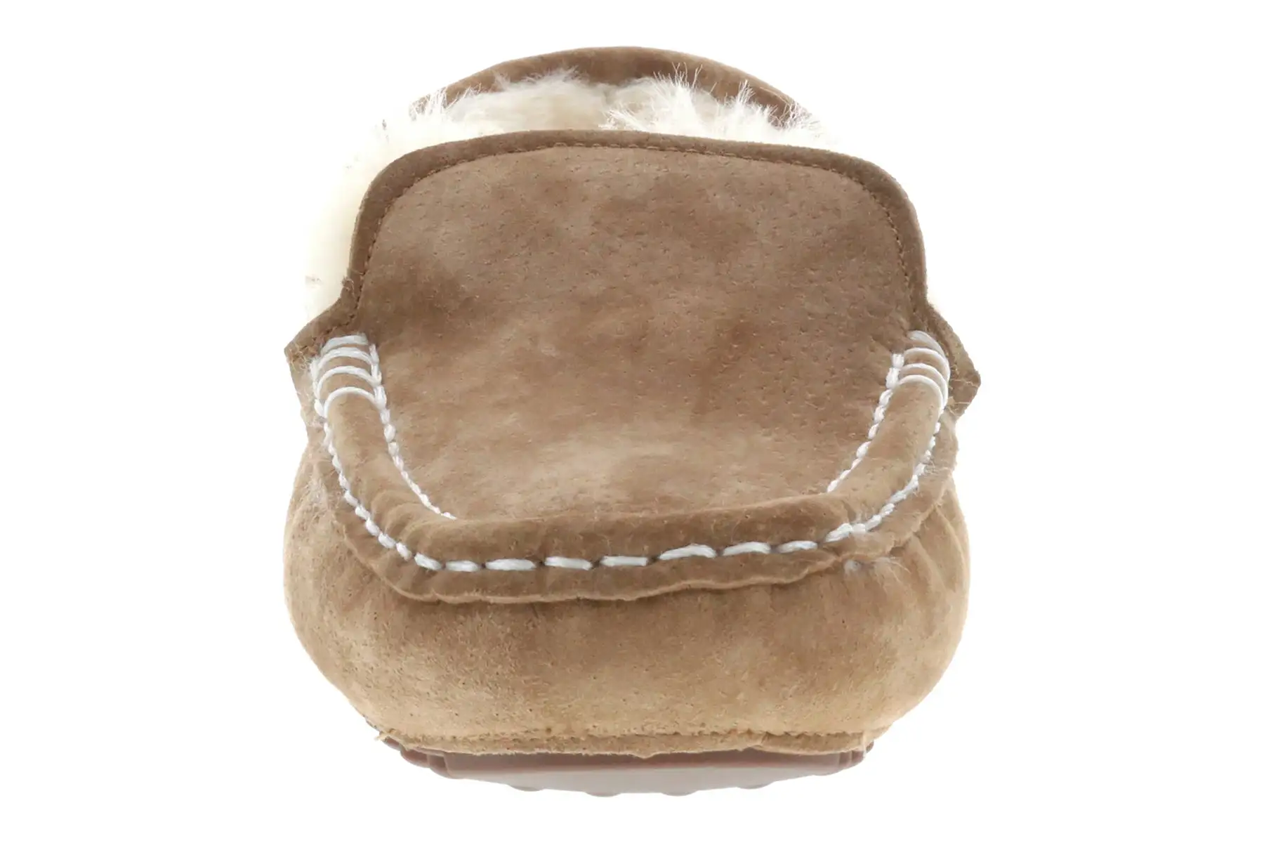 Lamo Callie 5 Lamo Callie - Image 5