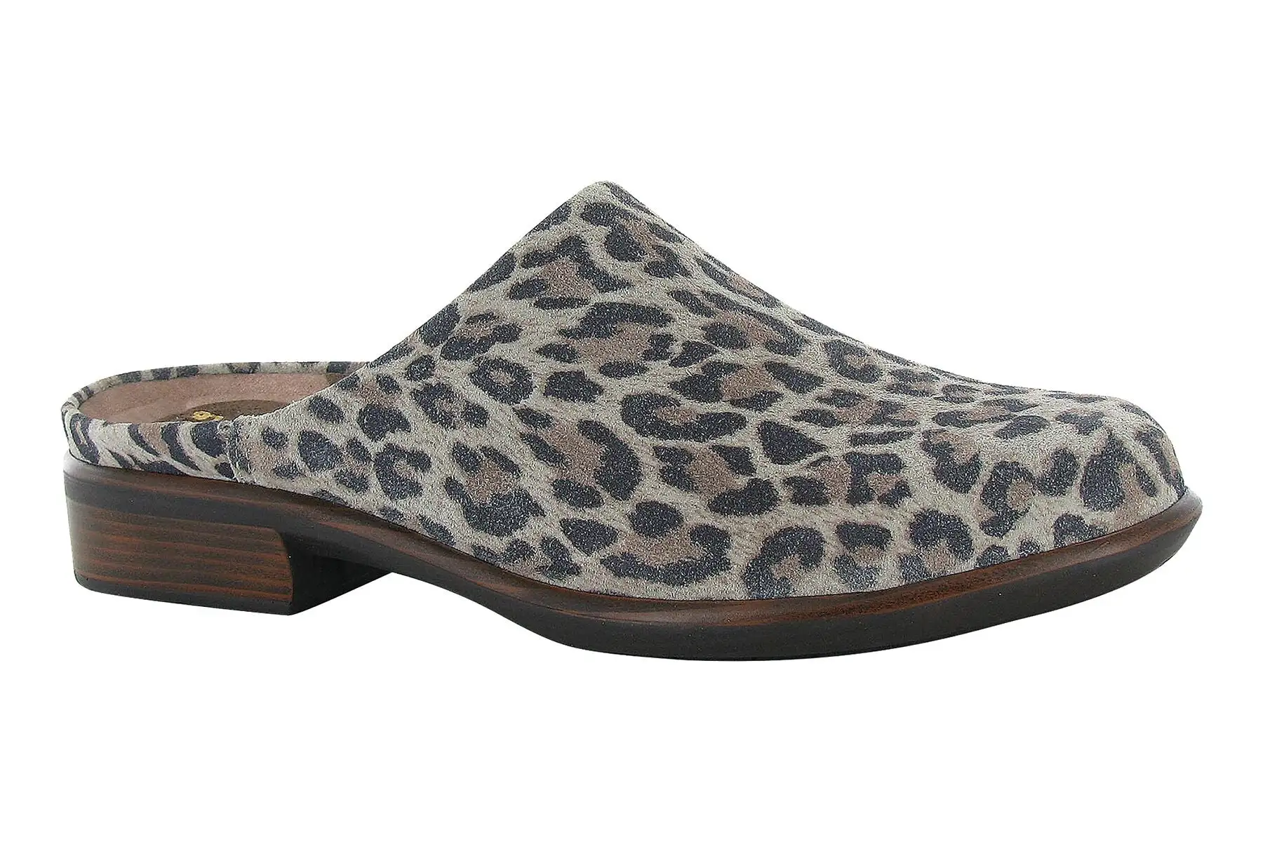 Naot Lodos 1 Naot Lodos