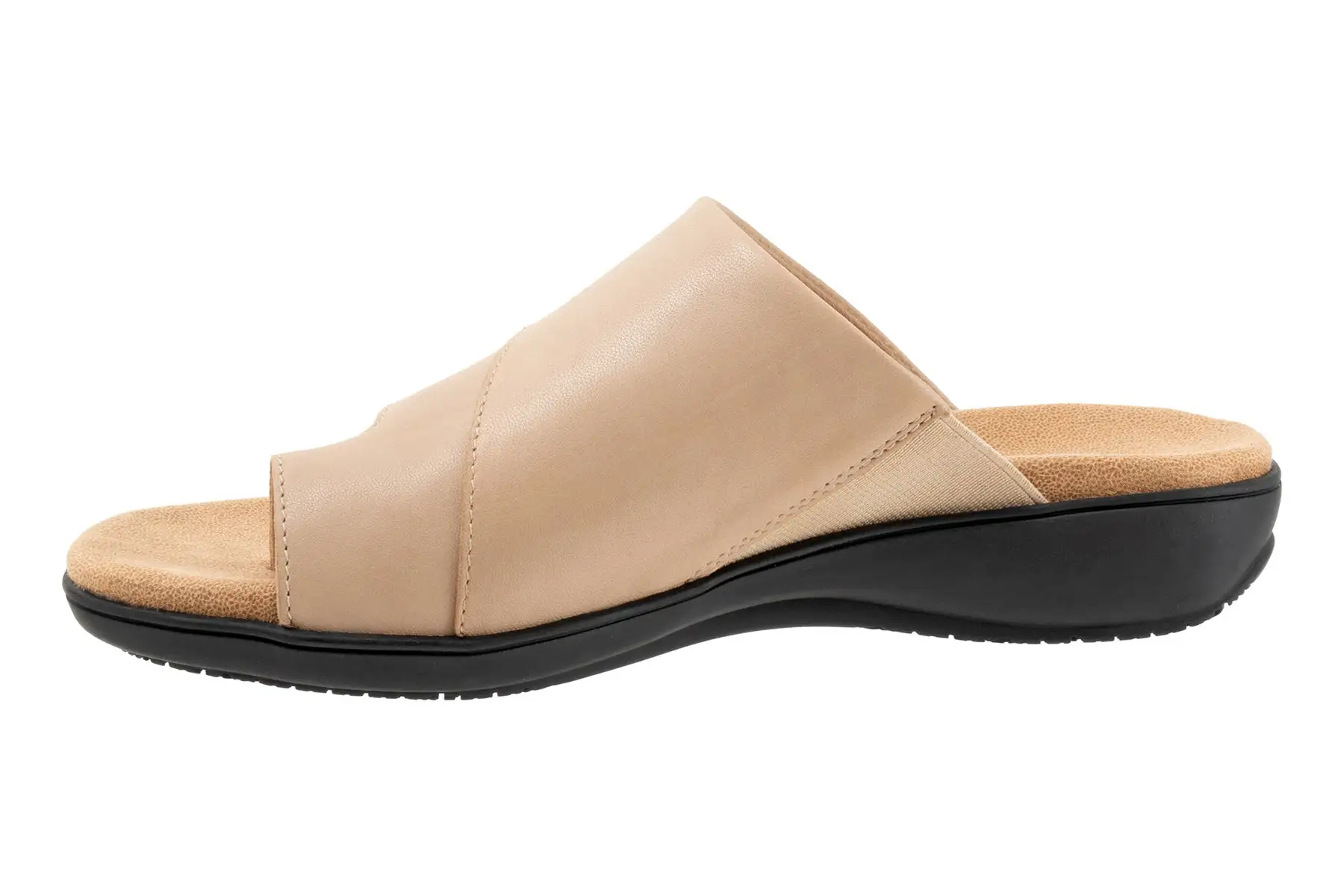 Trotters Regina 7 Trotters Regina - Image 7