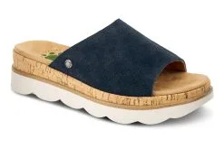 Spring Step Kamaleia