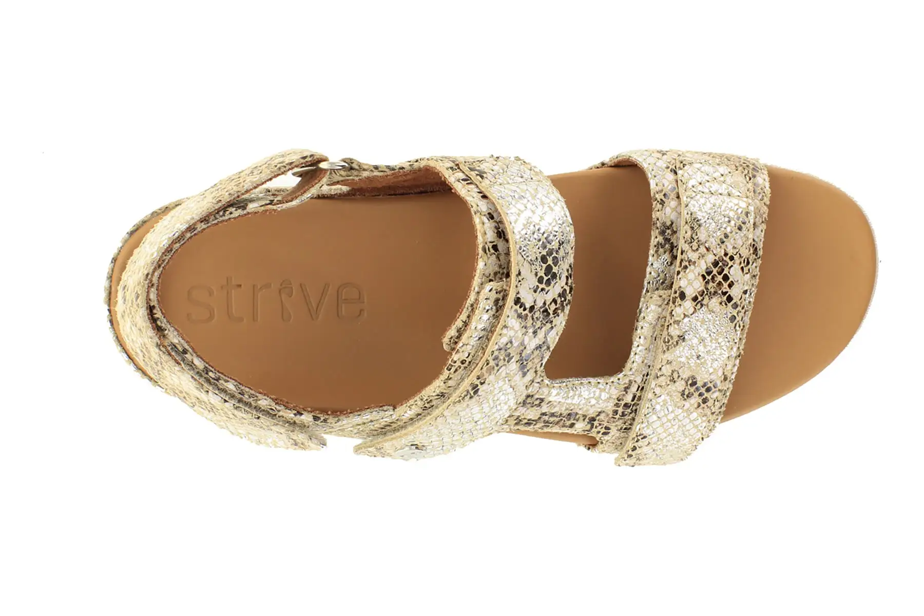 Strive Aruba 2 Strive Aruba - Image 2