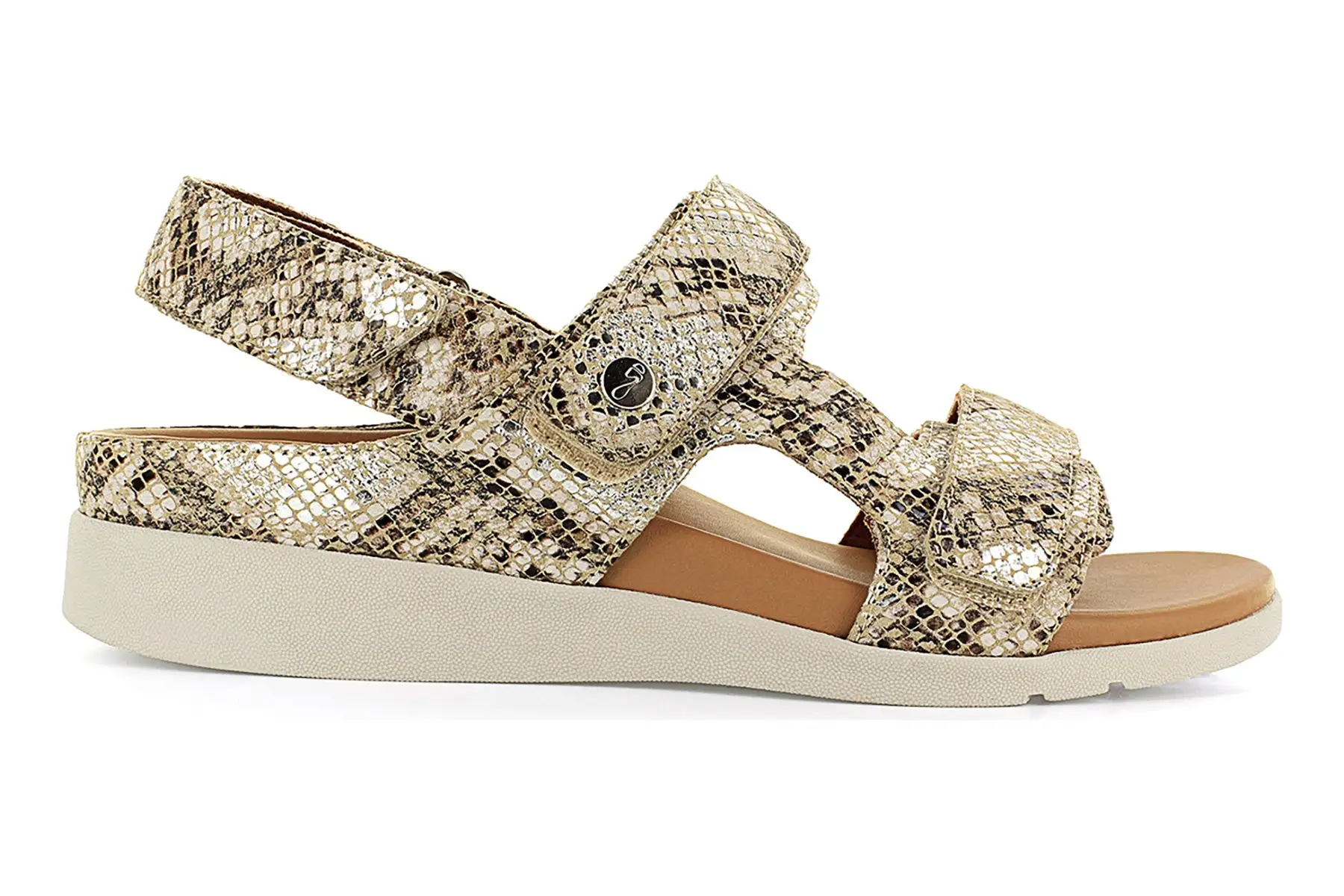 Strive Aruba 3 Strive Aruba - Image 3