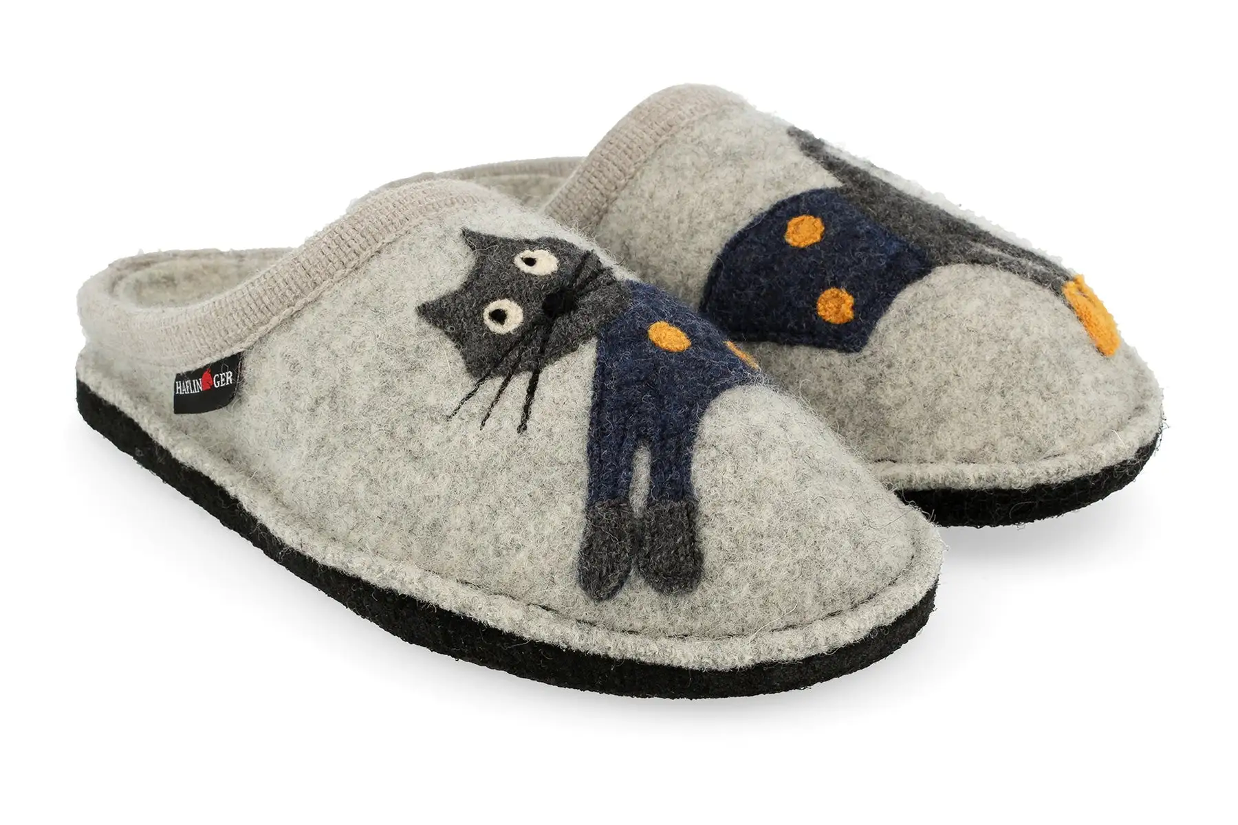 Haflinger Cucho 1 Haflinger Cucho