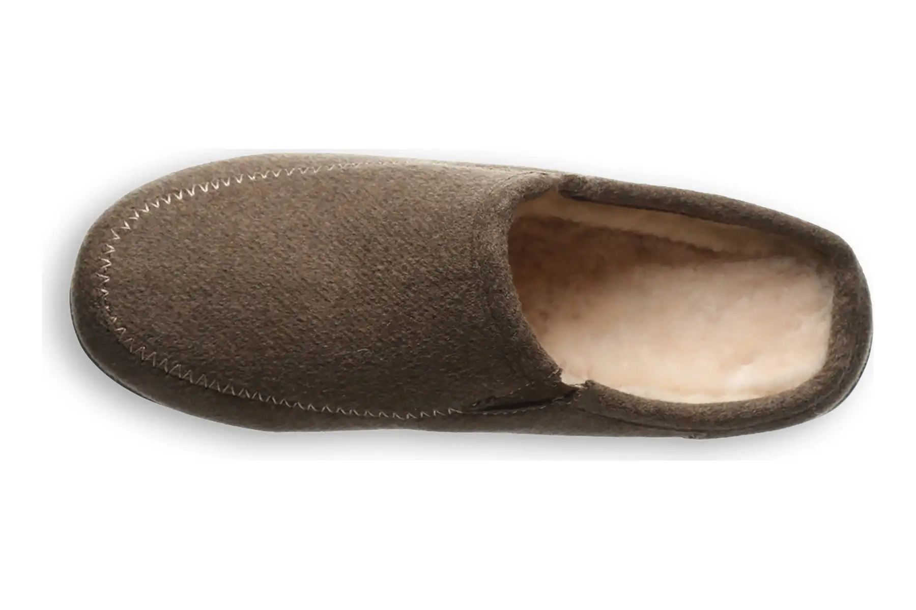 Bearpaw Azalea 2 Bearpaw Azalea - Image 2