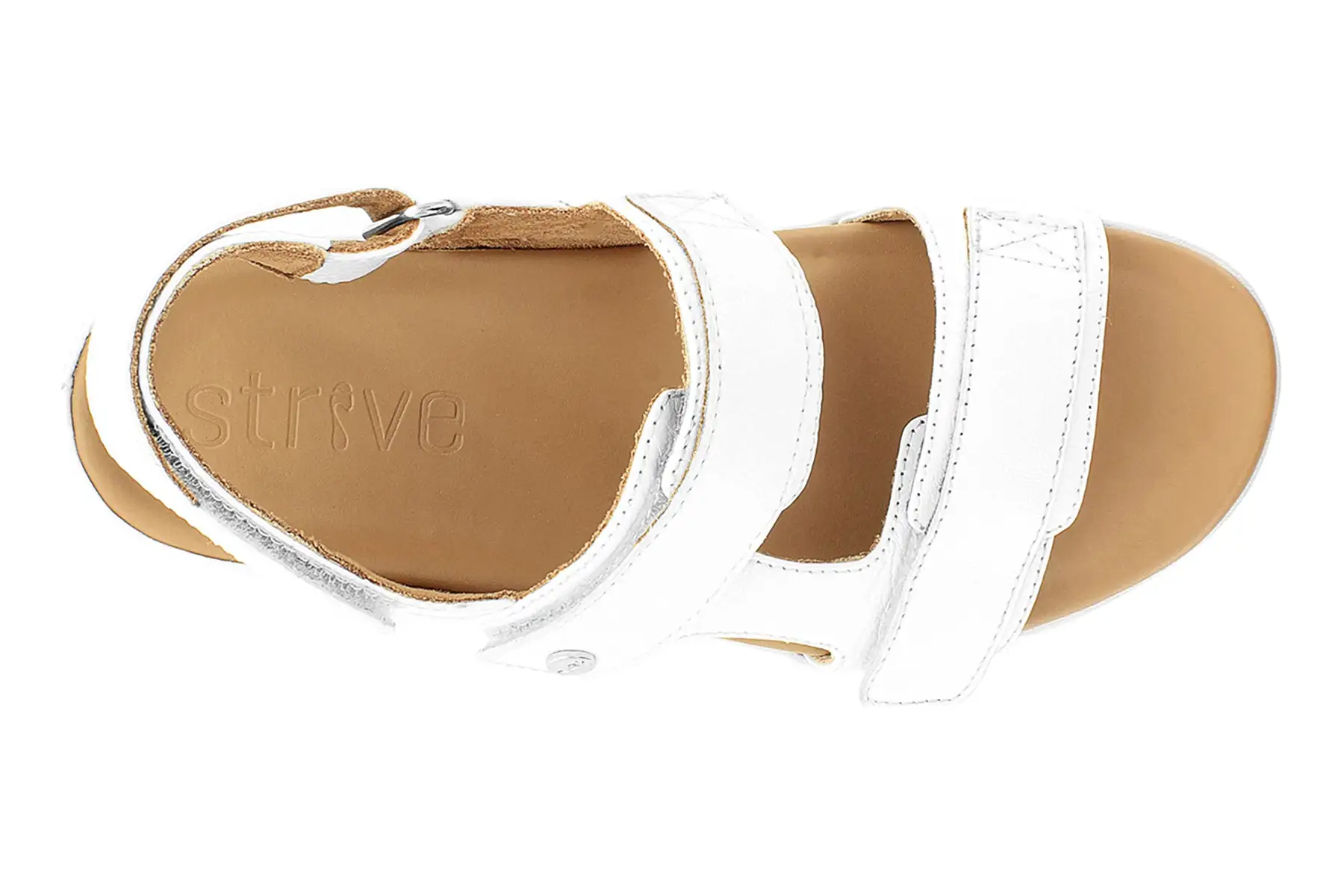 Strive Aruba II 2 Strive Aruba II - Image 2