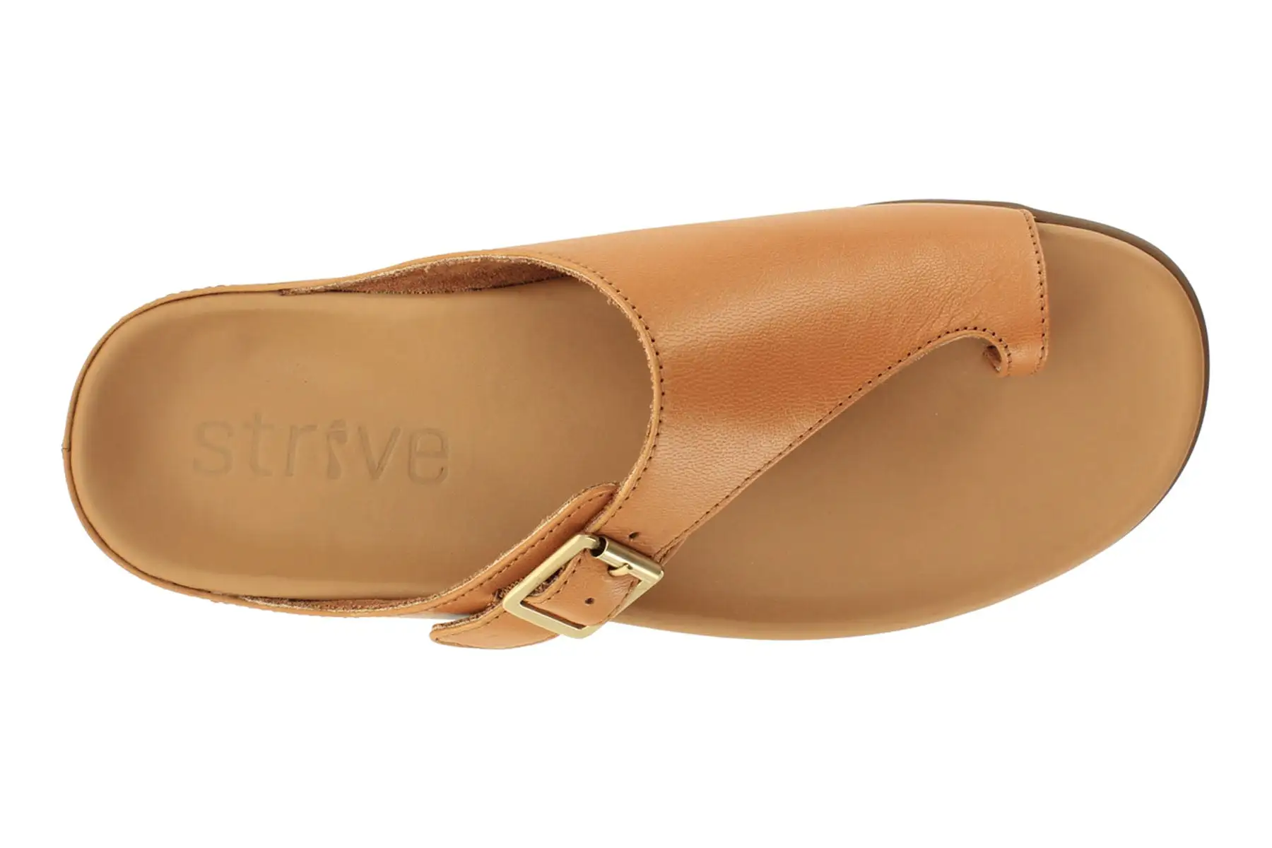 Strive Java II 2 Strive Java II - Image 2