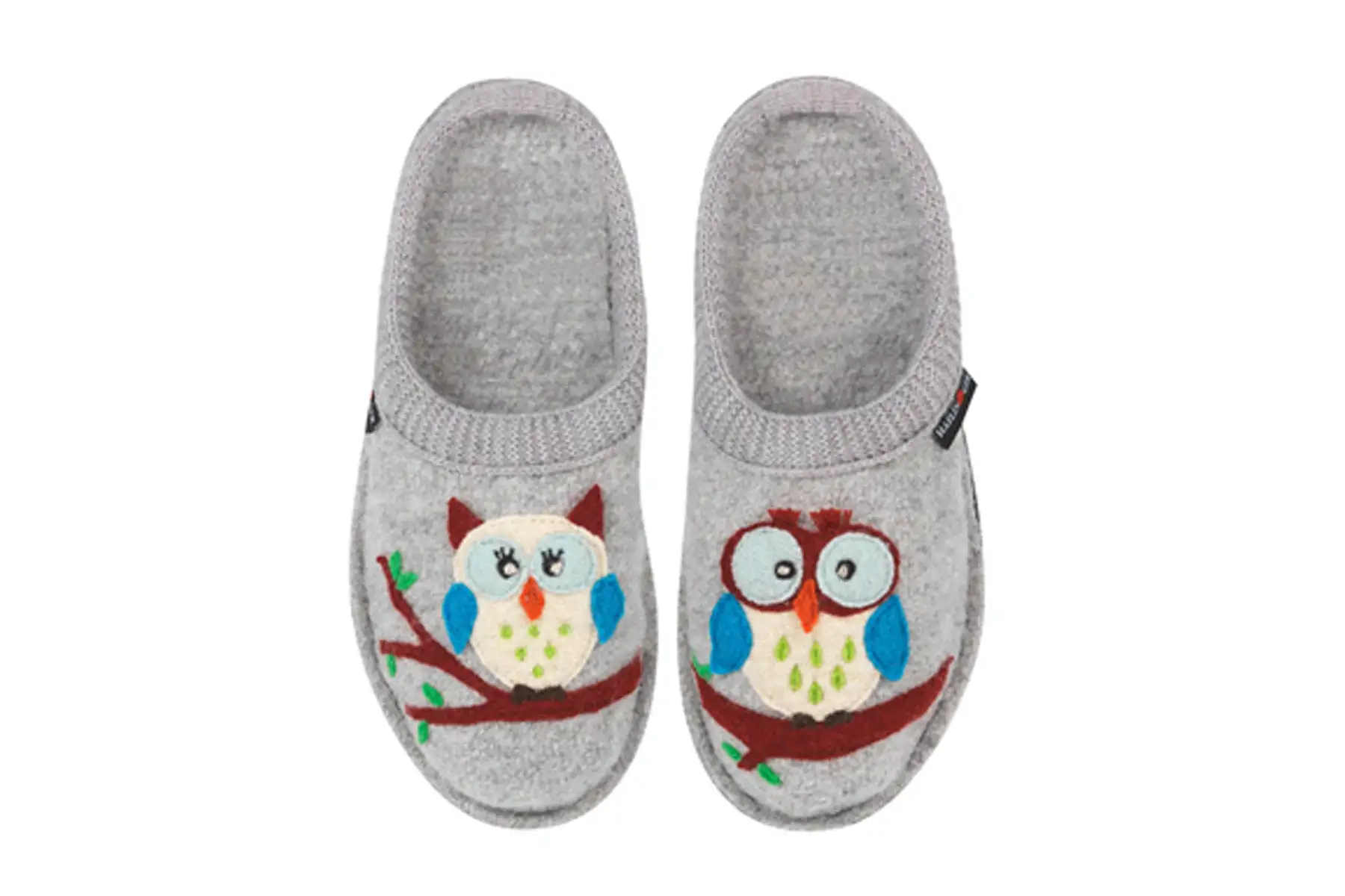 Haflinger Olivia 1 Haflinger Olivia